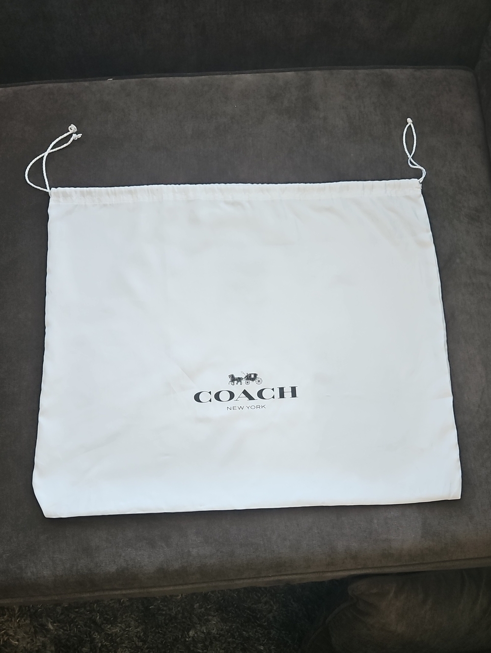 Coach Dust Bag- Large